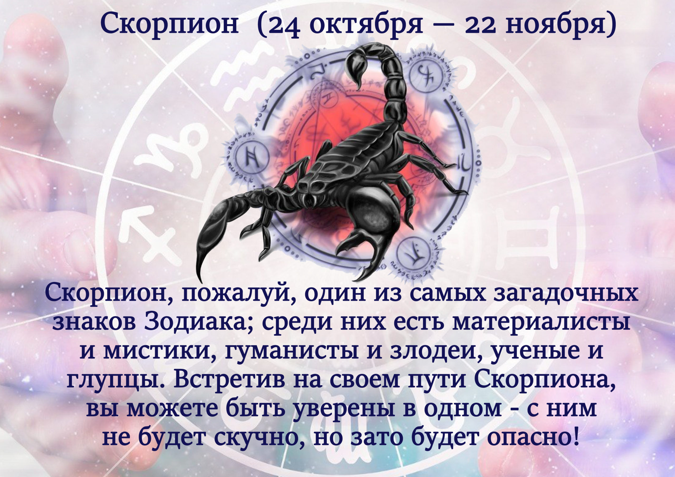 Знак Гороскопа Скорпион Мужчина Характеристика