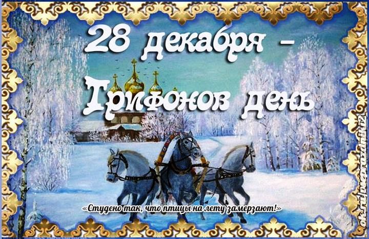 28 декабря - Народный праздник «Трифонов день». 1111i